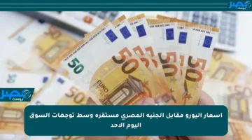 أسعار اليورو مقابل الجنيه المصري مستقرة وسط توجهات السوق اليوم الأحد